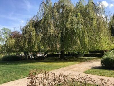 begraafplaats Hoenderloo