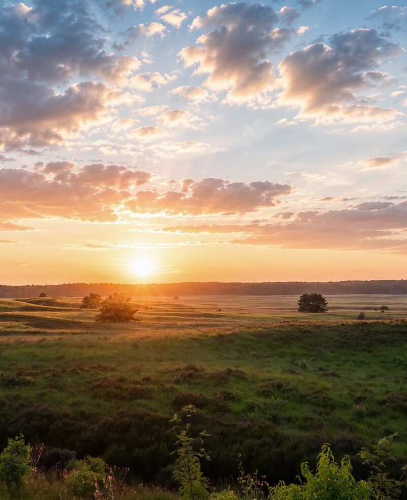 Natuur Natuur