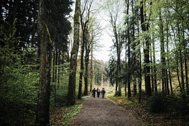 samen-wandelen-rouwenhorst samen-wandelen-rouwenhorst