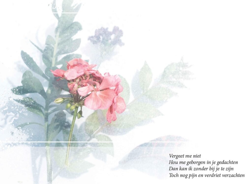 BLOEMENSCAN ROODROZE GERANIUM 2021