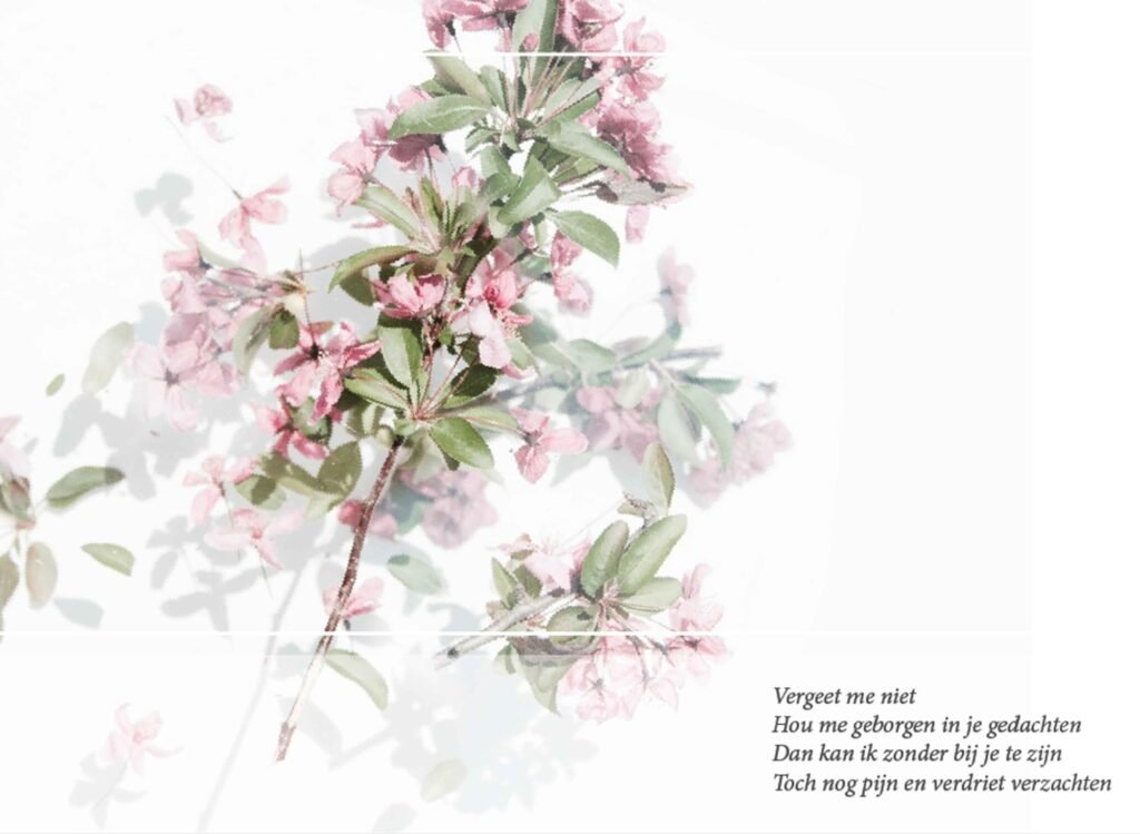 BLOEMENSCAN ROZE TAK 2021