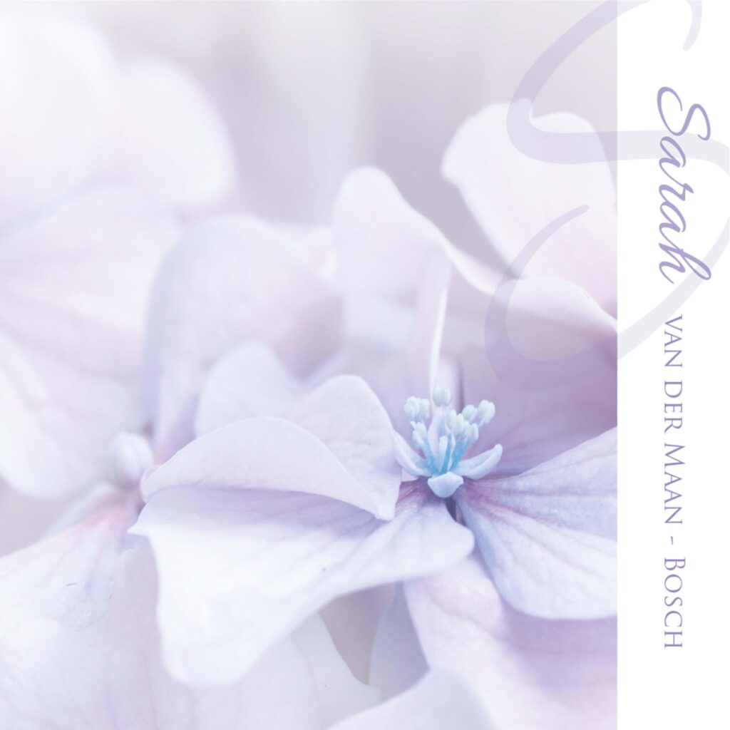 HORTENSIA 2020