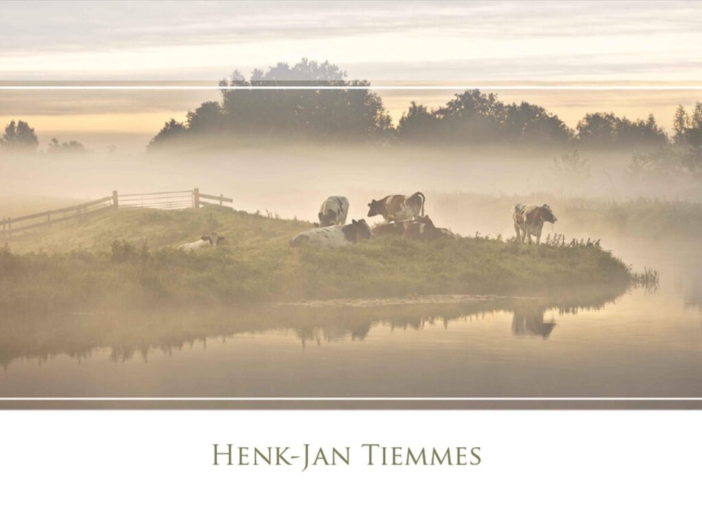 KOEIEN MIST 2021