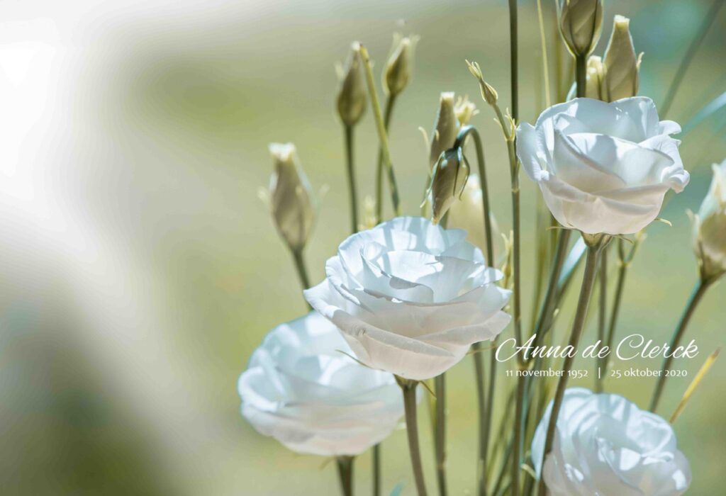 WITTE BLOEMEN GROEN 2019