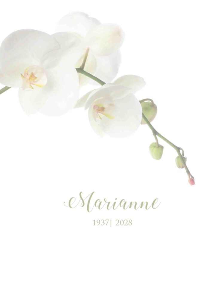WITTE ORCHIDEE 2020